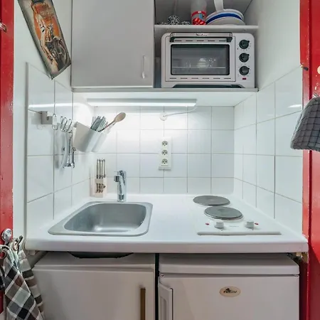 Nice Studio Close To Bastille Appartement *